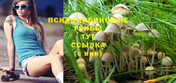 МДПВ Богородицк