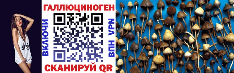 блэк спрут ссылка  Колпашево  Галлюциногенные грибы мицелий 