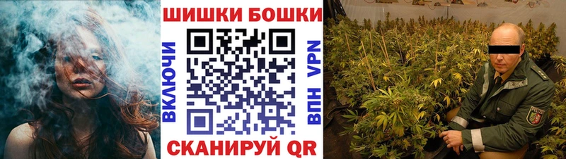 Бошки марихуана сатива Колпашево